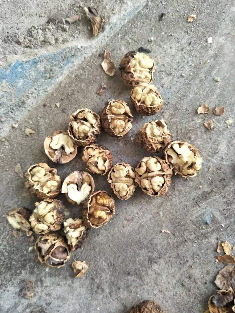 小麻子薄壳核桃