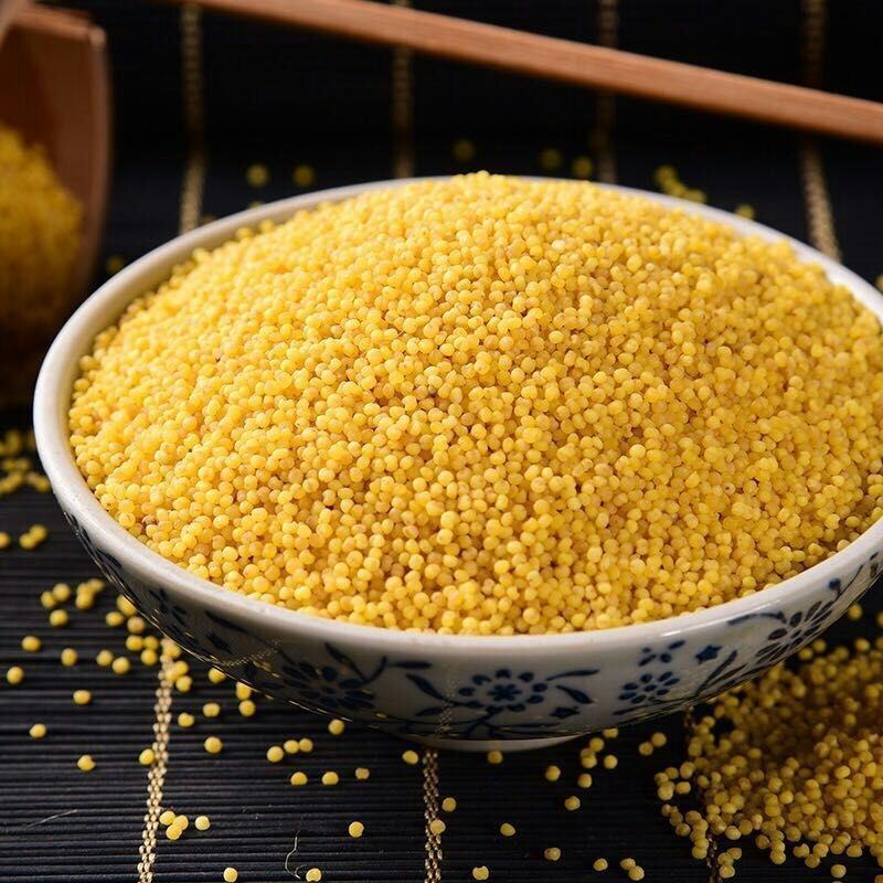 小米，黄小米，黄金苗，山地小米，特级小米，酿酒小米，品种