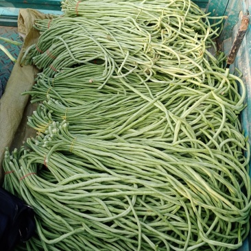 安徽，精品大棚豆角，原产地发货诚信合作，