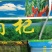 地摊跑量油货枸杞乡镇热卖枸杞电商专供厂家直销