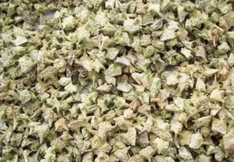 蒺藜，野生刺蒺藜新货撞刺质量保证现货供应欢迎咨询合作！