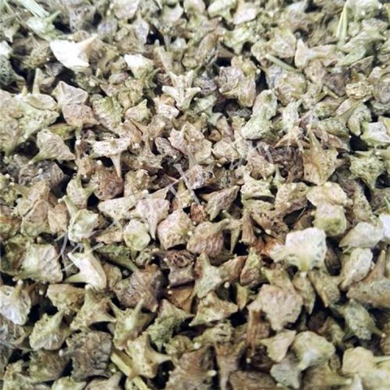蒺藜，野生刺蒺藜新货撞刺质量保证现货供应欢迎咨询合作！