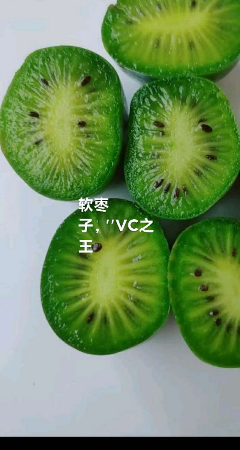 软枣子，基地种植，基地直销，质量保证，口感好甜，大量批发