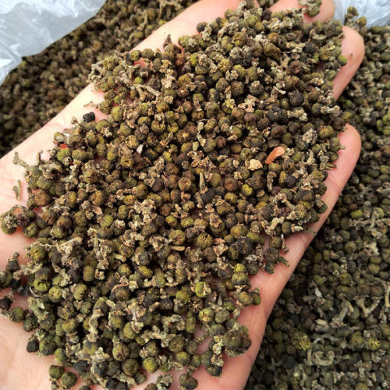 吴茱萸，吴萸新货质量保证现货供应欢迎咨询合作！