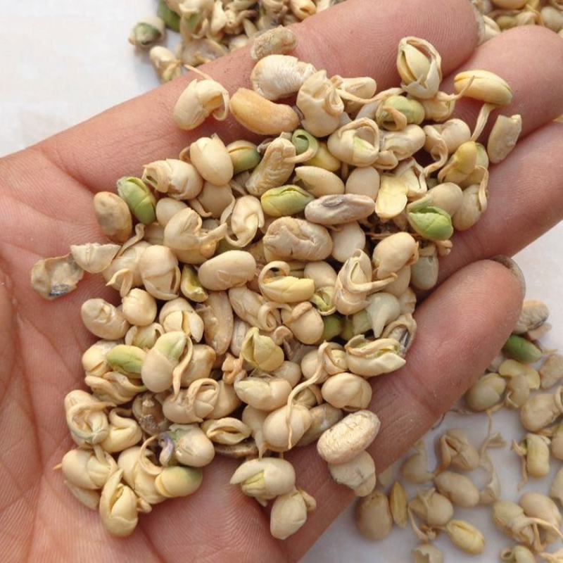 黄豆卷豆卷中药材大黄豆批发零售中药材品质保证