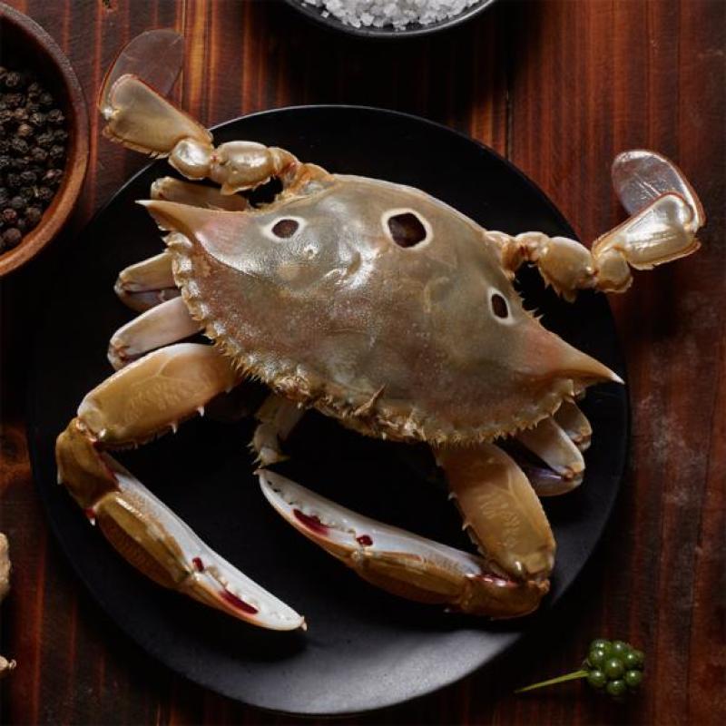 三点红膏蟹，三目母蟹，深海红星梭子蟹，餐厅酒店一件代发