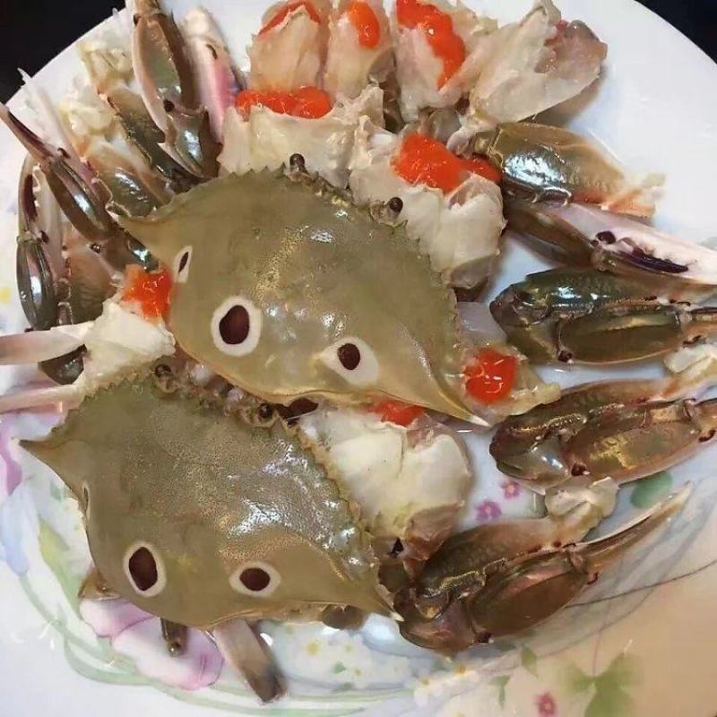 三点红膏蟹，三目母蟹，深海红星梭子蟹，餐厅酒店一件代发