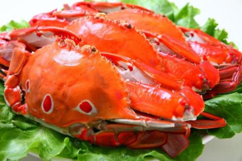 三点红膏蟹，三目母蟹，深海红星梭子蟹，餐厅酒店一件代发