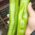 精品尖椒袋装，箱装，各种打包，需要的老板咨询了