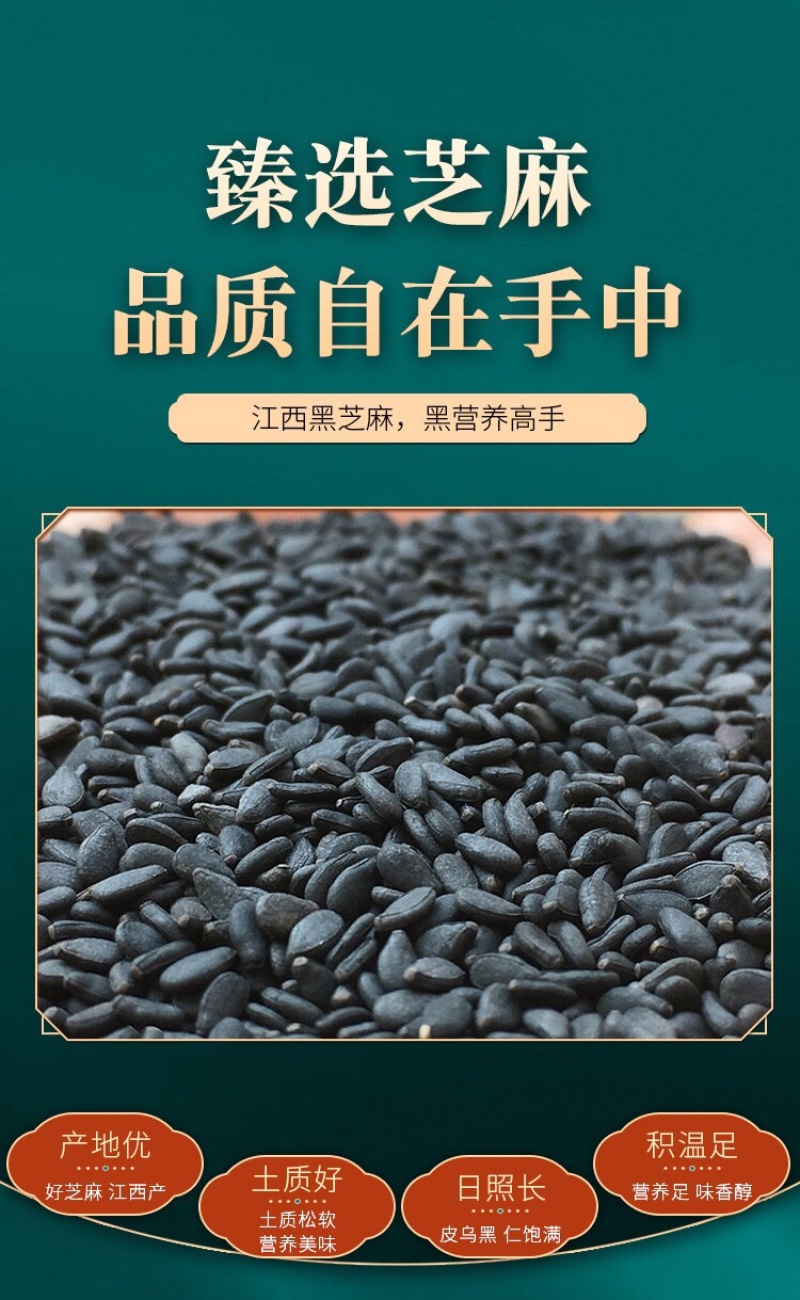 黑芝麻丸