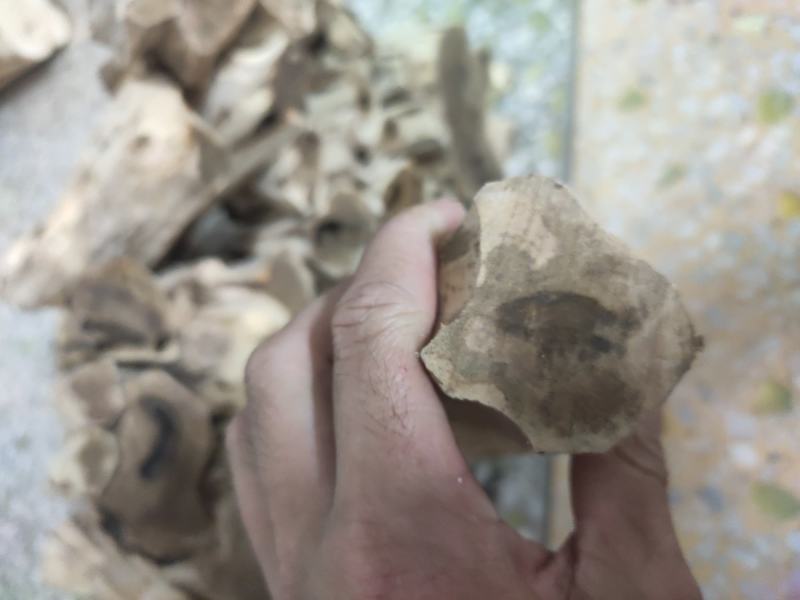 高质量沉香手串了，可雕刻料