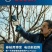 博世电动修枝剪果树剪园林剪电池耐用，剪枝力量大