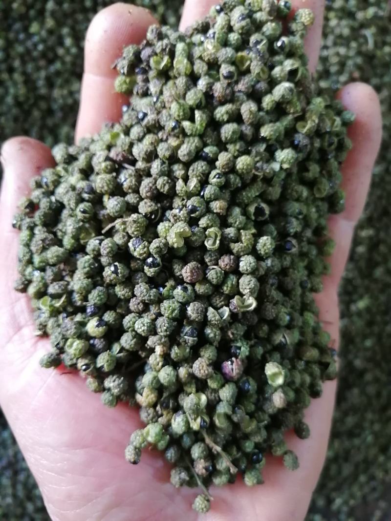 九叶青花椒，无污染种植，麻辣香味足，油袍饱满！转红椒大量