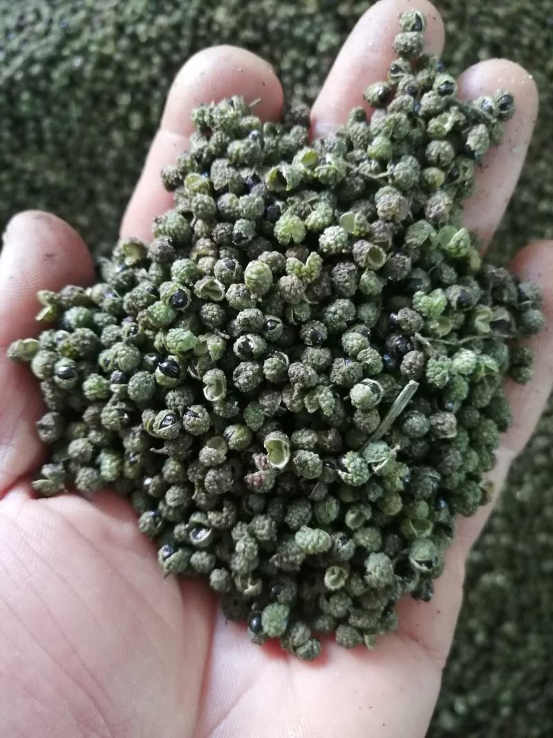 九叶青花椒，无污染种植，麻辣香味足，油袍饱满！转红椒大量