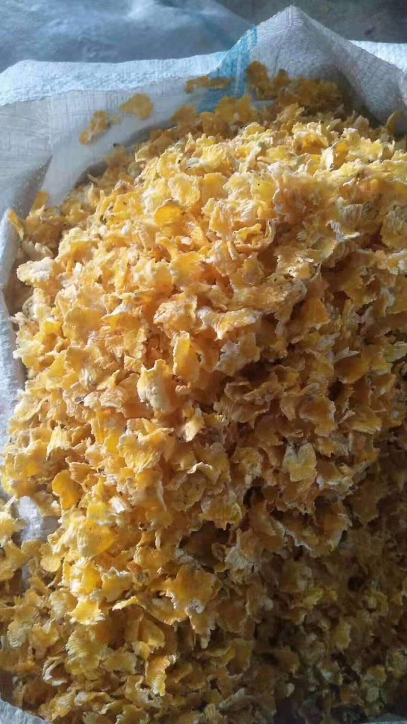 河北玉米压片