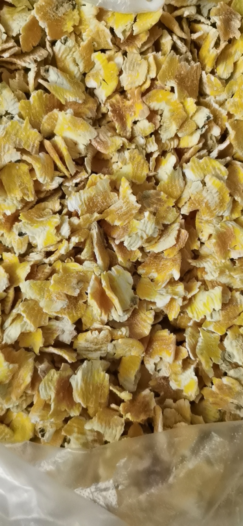 河北玉米压片