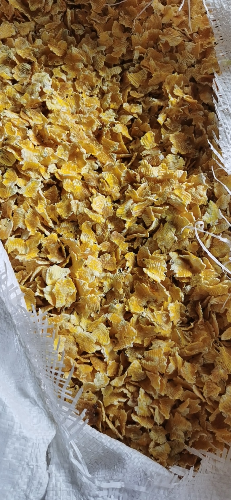 河北玉米压片