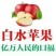 白水早熟富士（红田，玉华，红将军）正在热销中