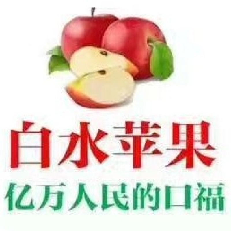 白水早熟富士（红田，玉华，红将军）正在热销中