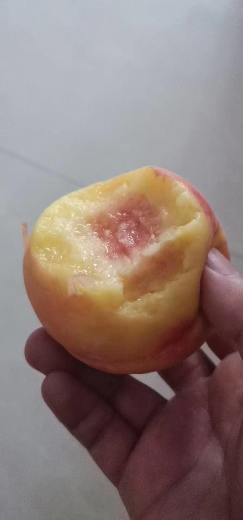 陕西礼泉县，各种黄桃，蟠桃大量上市，须要的联系
