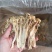 福建古田海鲜菇蟹味菇无硫磺细条粗条低价销售