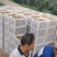 太白山优生区优质妳猴桃