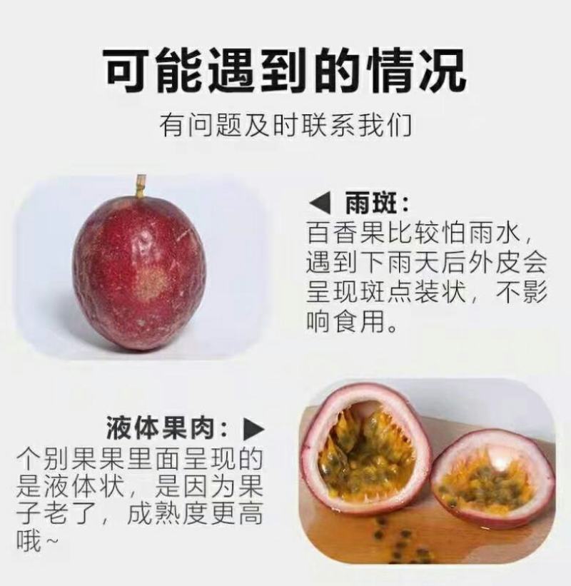 紫色百香果，奶茶店用紫皮百香果，现摘发货紫色百香果