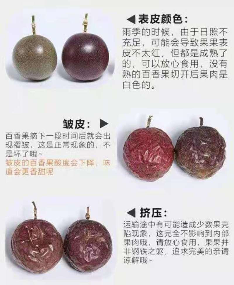 紫色百香果，奶茶店用紫皮百香果，现摘发货紫色百香果