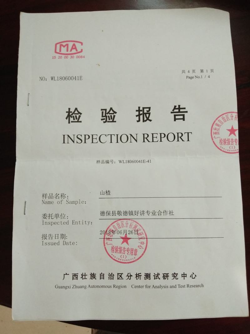 广西百色市德保县，南方，大果野生山楂干，专业合作社加工，