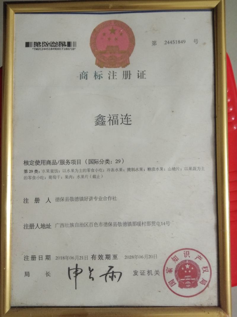 广西百色市德保县，南方，大果野生山楂干，专业合作社加工，