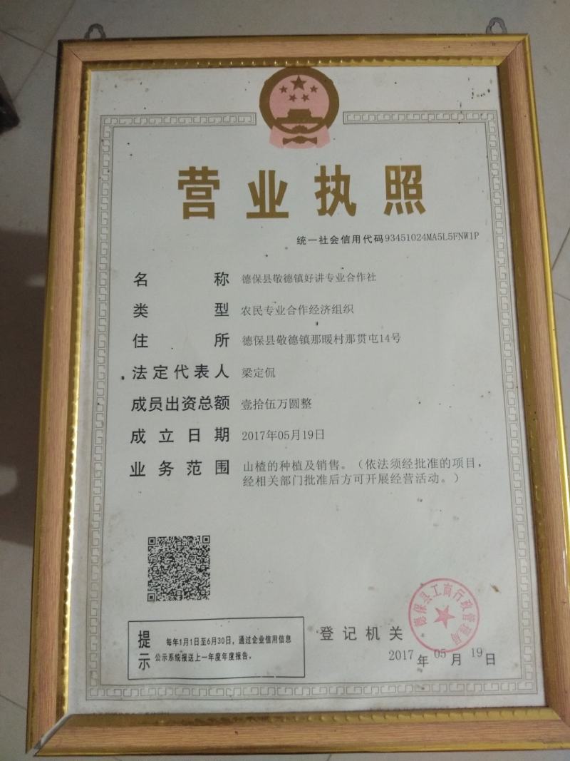 广西百色市德保县，南方，大果野生山楂干，专业合作社加工，