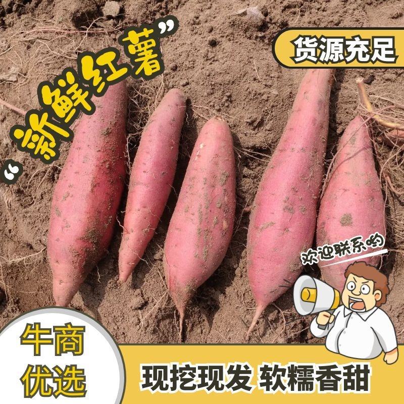 开封纯沙地西瓜红，超市-市场-电商，产地直发，货源充足