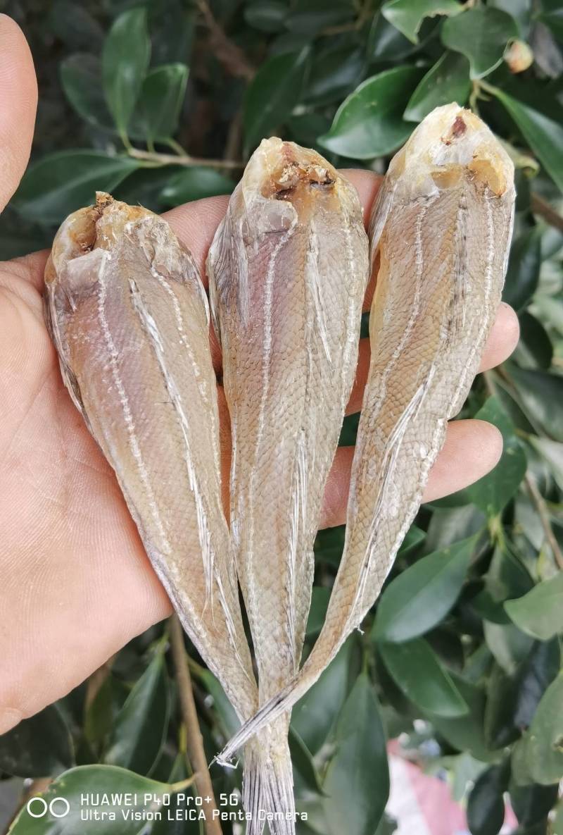 【一手货源】沙甲丁沙丁鱼小鱼干咸鱼干
