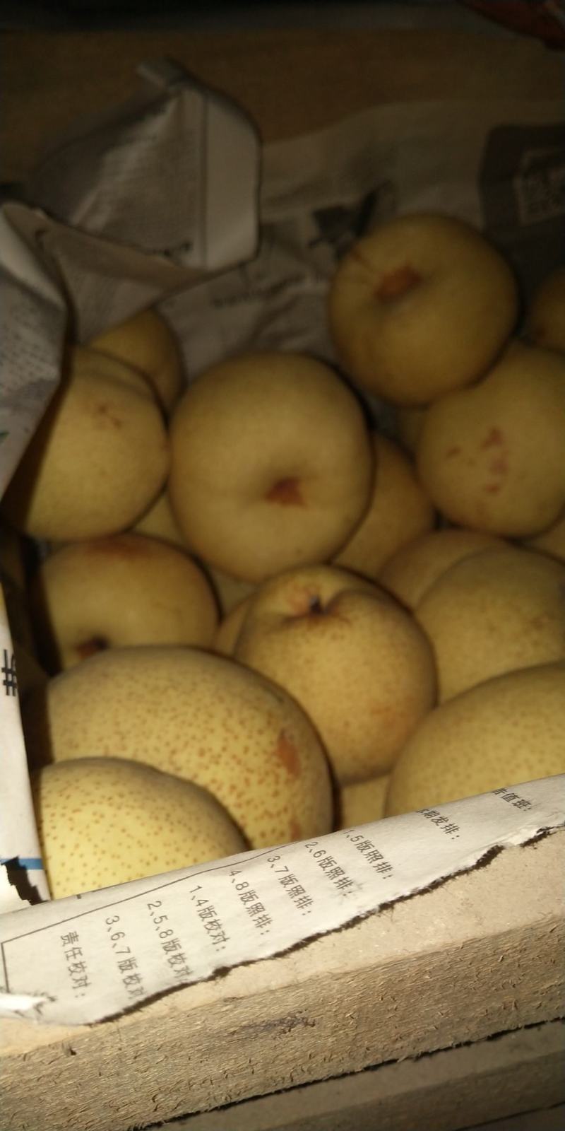 宁陵金顶谢花酥梨，皮薄多汁，甜度高，保质保量，可长期合作