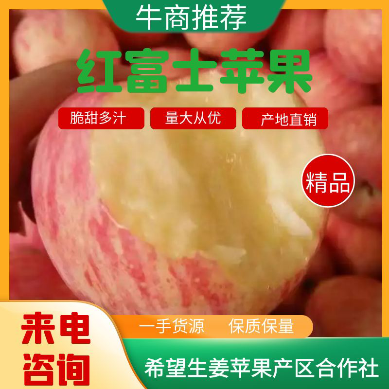 【优选】山东红富士苹果大量出库口感脆甜价格便宜货源充足