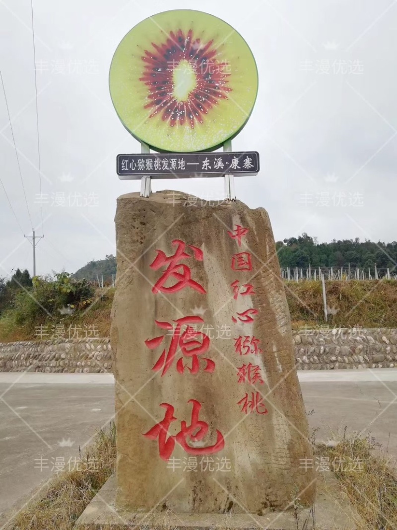 苍溪红心猕猴桃