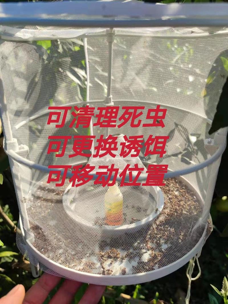 二月同款果实蝇诱捕笼，三亩地只需要一个，代替果实蝇版诱蝇