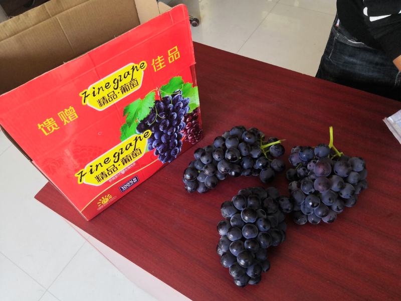 （精品）五马坊巨峰葡萄，精品现货、货源稳定充足，果粉均匀