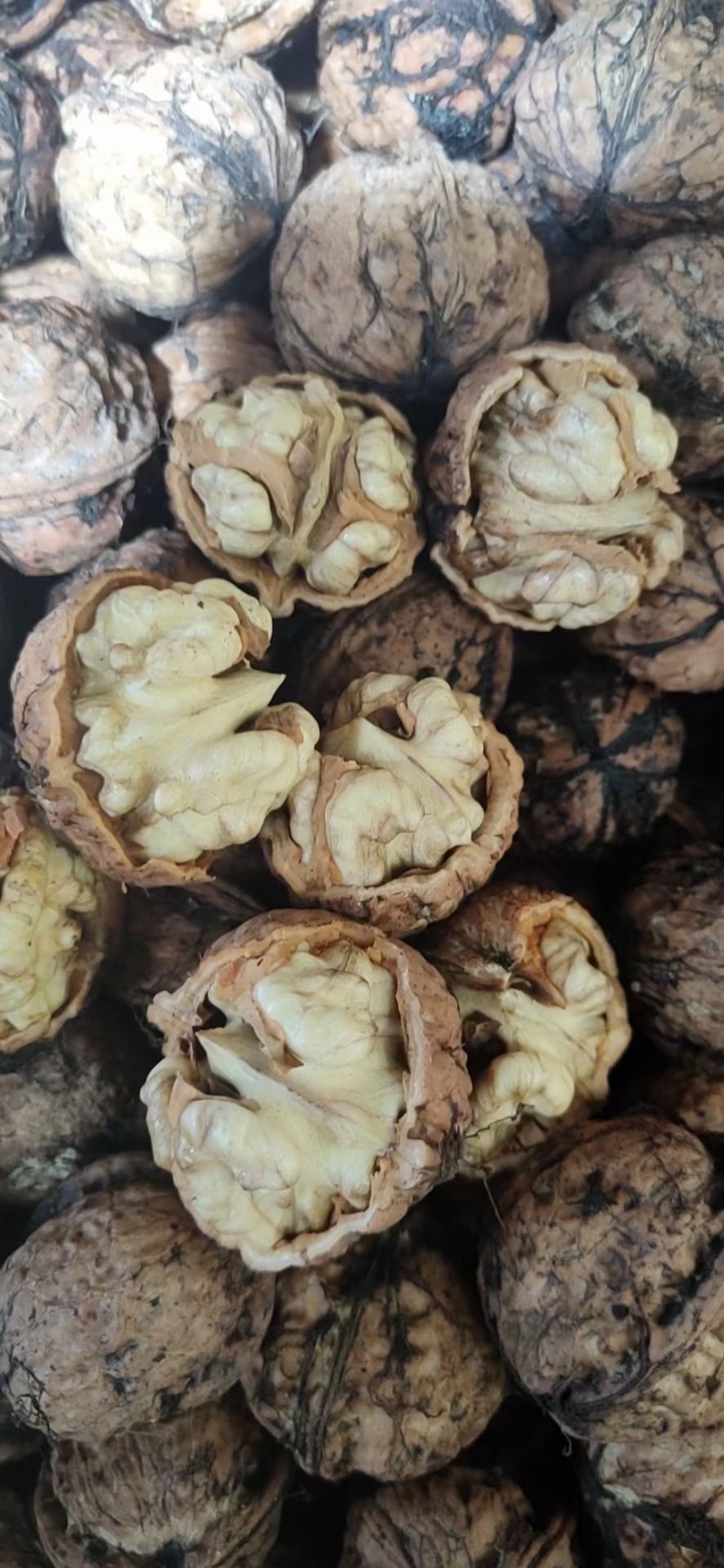 核桃，出自中国核桃之乡大姚的纸皮核桃