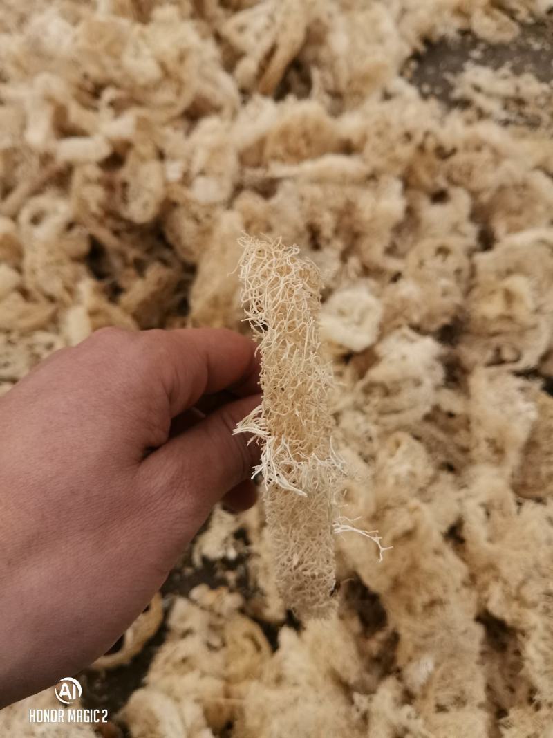 老丝瓜络中药材无硫干丝瓜络切片切丝食用泡茶药用下奶