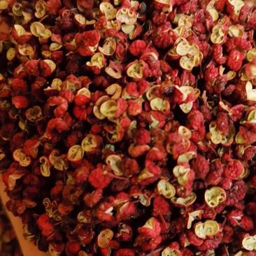 甘肃红麻椒茂文原产地选材一手货源全国发货常年供应