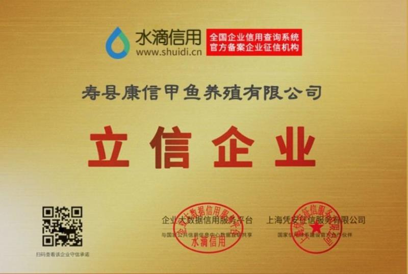 甲鱼苗中华鳖苗外塘黄河日本杂交苗顺丰包邮