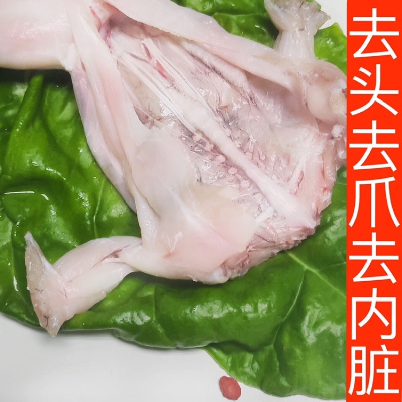 牛蛙肉新鲜冷冻去皮去头去脚趾去内脏牛蛙烧烤火锅批发