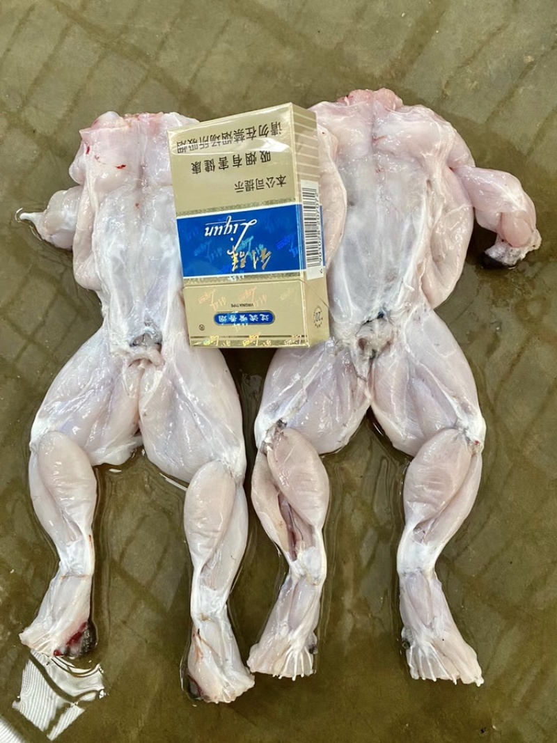 牛蛙肉新鲜冷冻去皮去头去脚趾去内脏牛蛙烧烤火锅批发