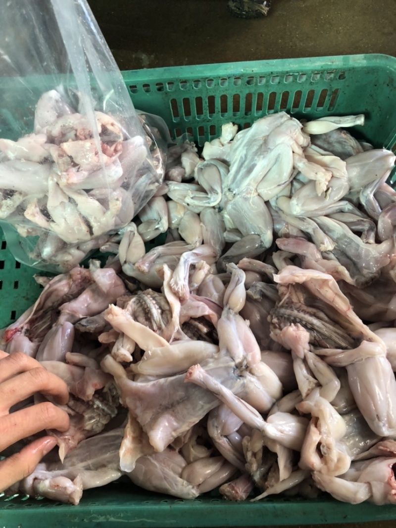 牛蛙肉新鲜冷冻去皮去头去脚趾去内脏牛蛙烧烤火锅批发