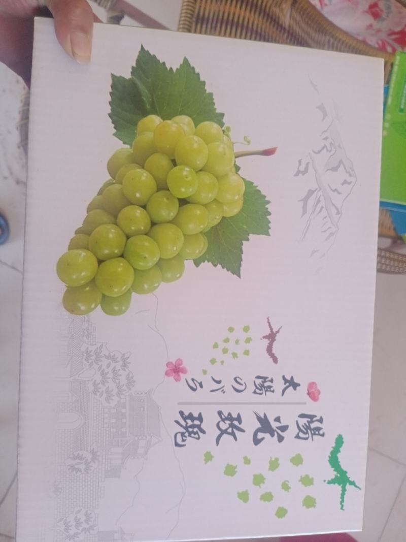 供应各种葡萄！从七月中旬京亚开始到十月阳光玫瑰冬天有储存