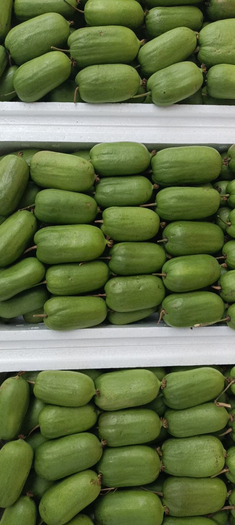 野生软枣
