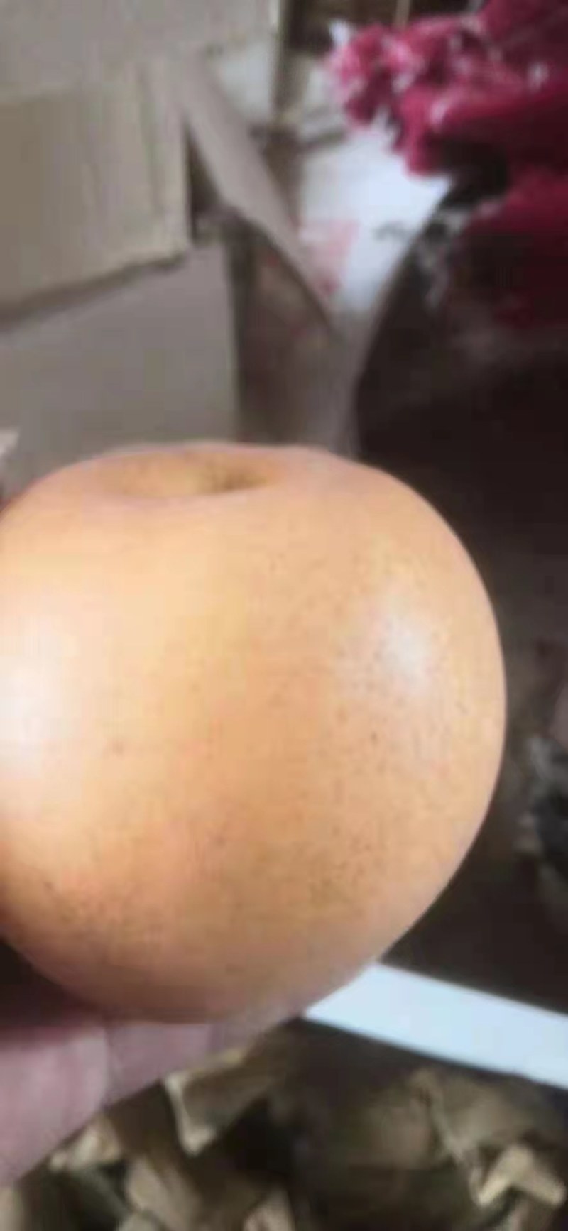 百亩晚秋黄梨，大量上市，质量好，价格低，货源充足，口感脆