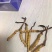 正宗野生冬虫夏草正品虫草野生虫草大虫草