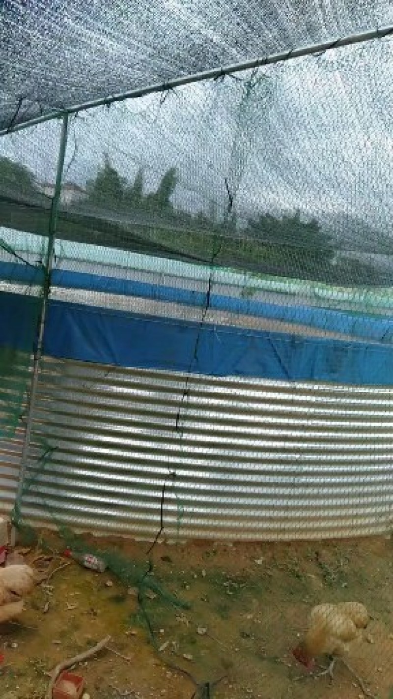 大型养殖帆布镀锌板高密度帆布池种植养殖蓄水帆布池